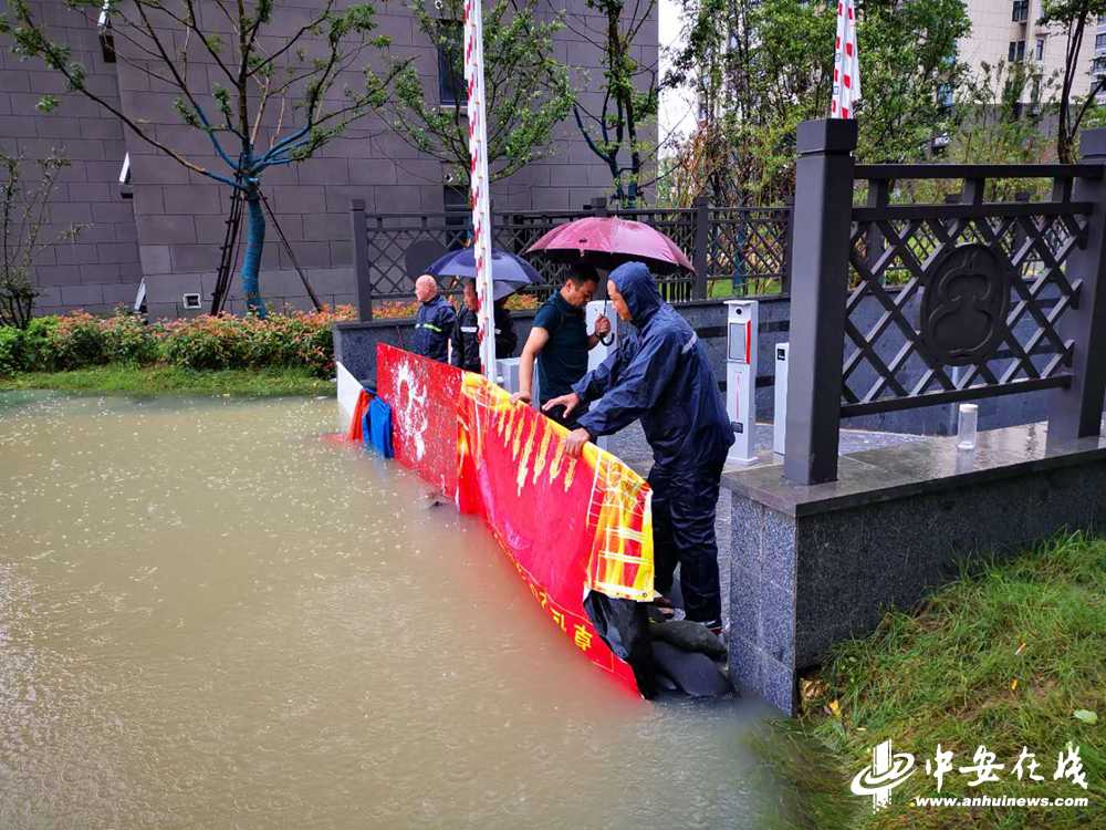 开云电子·kaiyun(中国游)官方网站