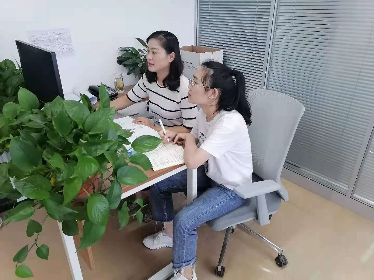 开云电子·kaiyun(中国游)官方网站