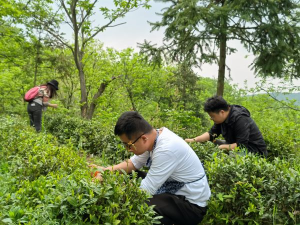 开云电子·kaiyun(中国游)官方网站
