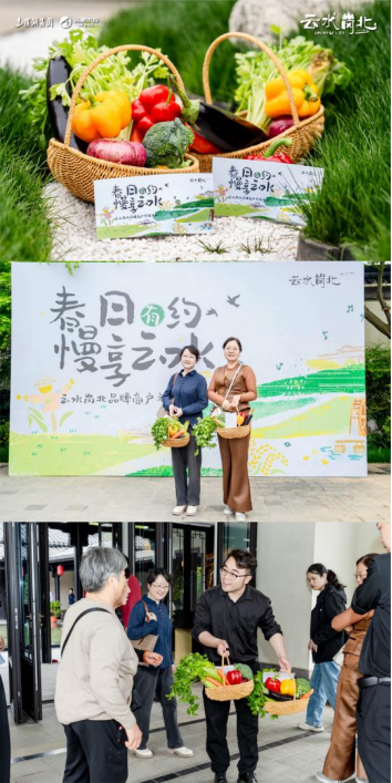 开云电子·kaiyun(中国游)官方网站